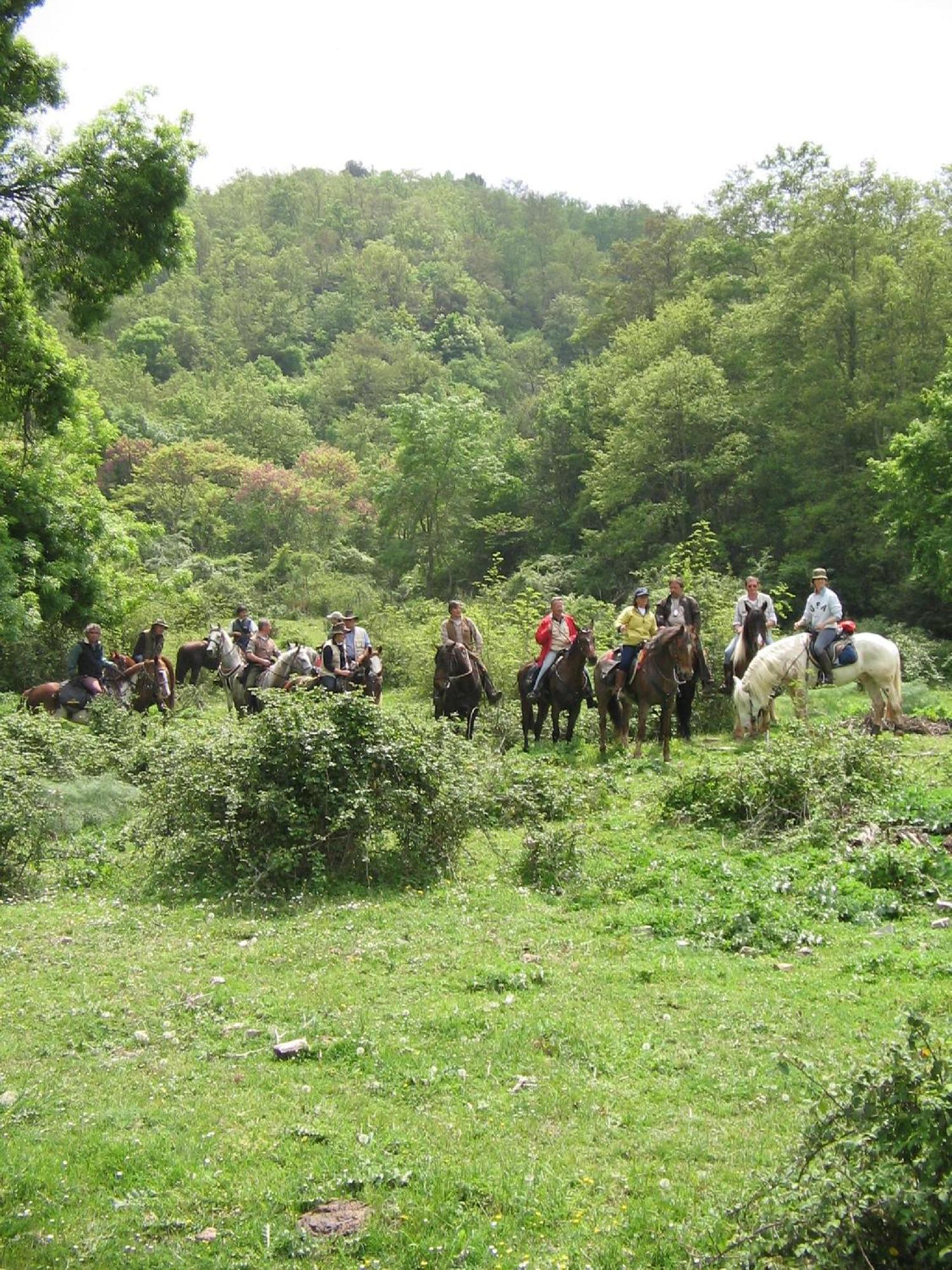Agriturismo Casale Bonaparte Cellere Luaran gambar