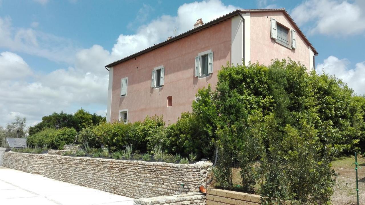 Agriturismo Casale Bonaparte Cellere Luaran gambar