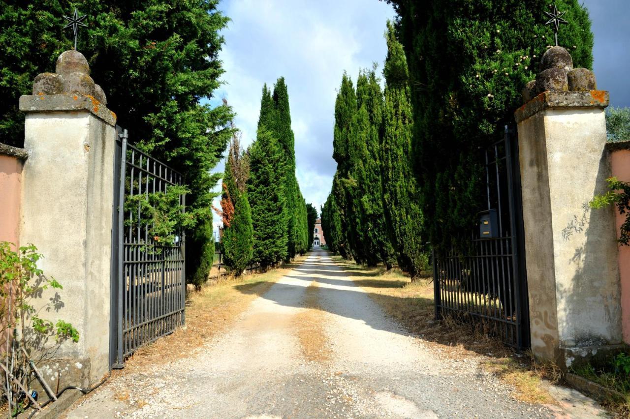 Agriturismo Casale Bonaparte Cellere Luaran gambar
